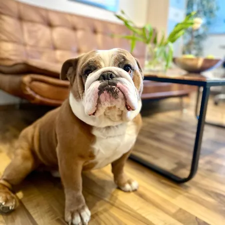 아파트 Domspitzen-blick, Cooles 2 Mit Indoor-swimmingpool Auf Dem Dach, Kueche Und Smart-tv 쾰른