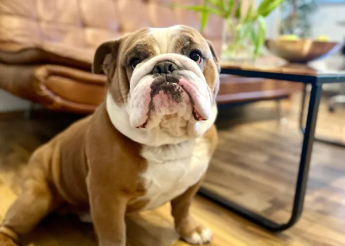 Daire Domspitzen-blick, Cooles 2 Mit Indoor-swimmingpool Auf Dem Dach, Kueche Und Smart-tv Köln